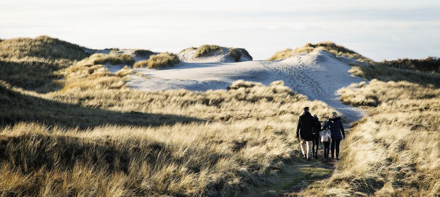 Family walking in dunes at Hvide Sande, Denmark
