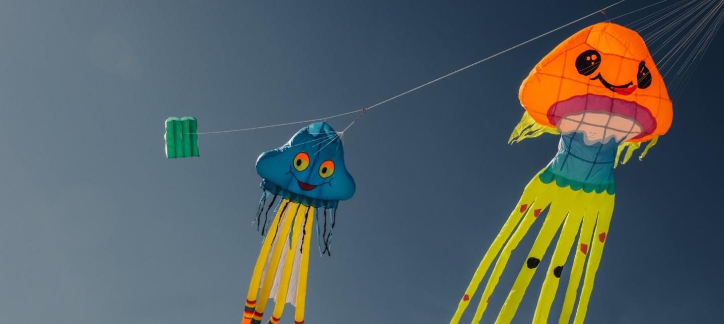 Kites at Blokhus-Løkken Windfestival