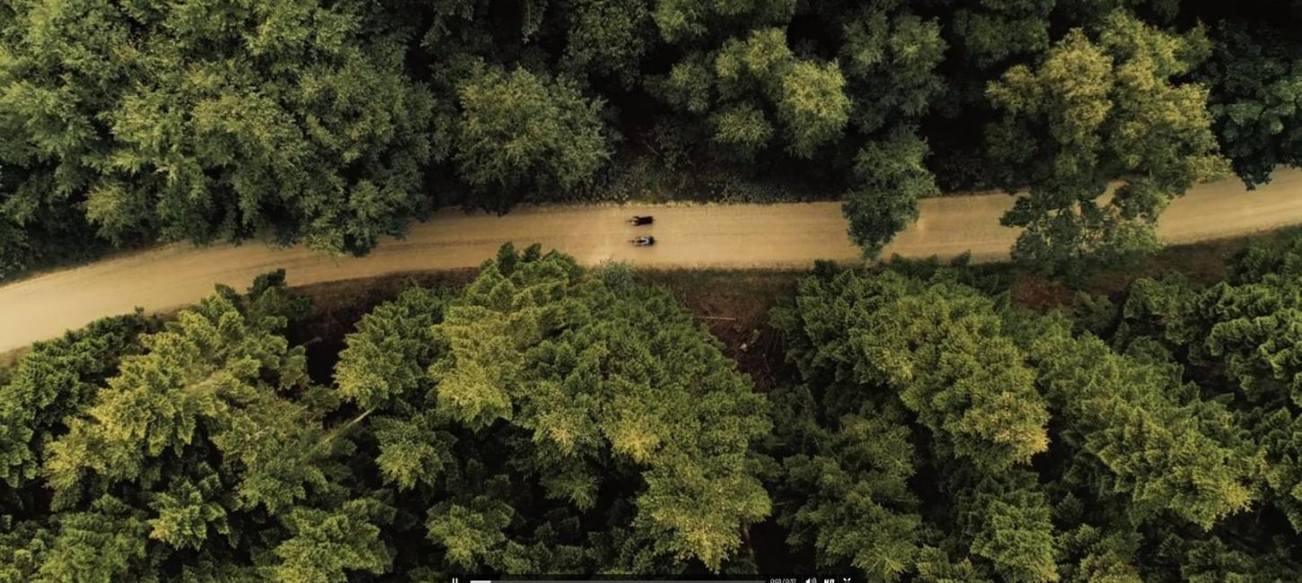Drone af cyklister på skovvej