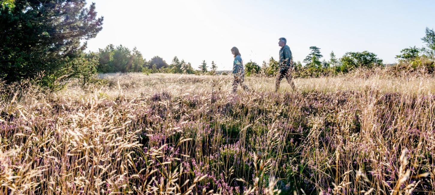 People hiking through field in Himmerland