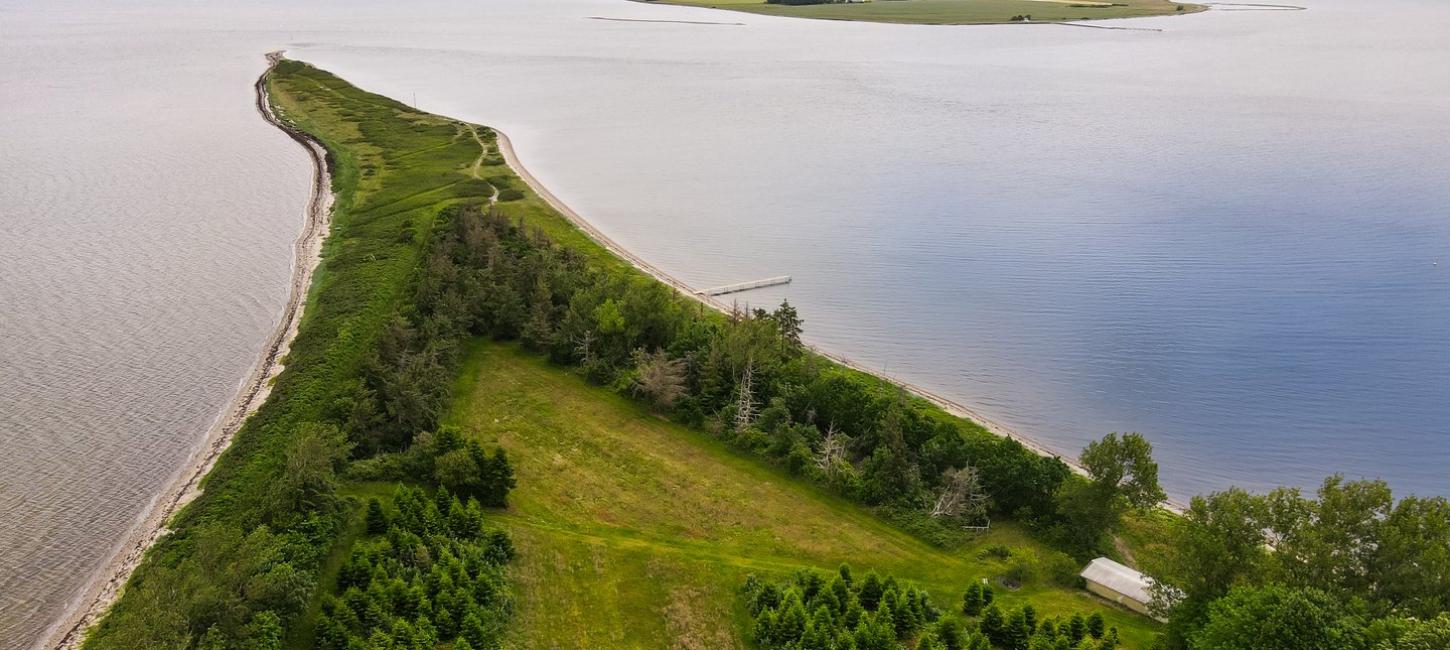 Borre Knob Horsens Fjord at the Coastal Land on Jutland in Denmark