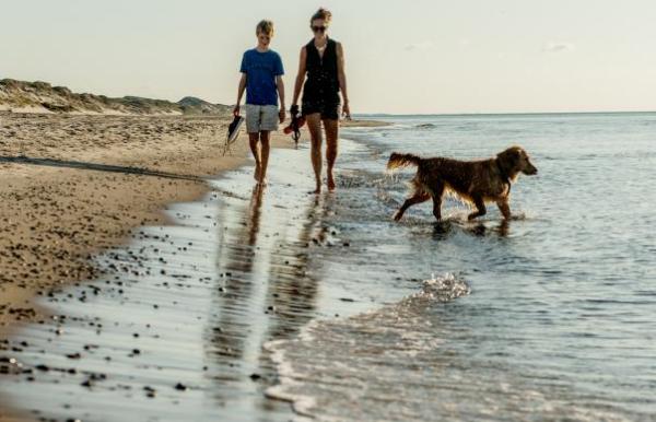 Familie geht Gassi mit Hund am Strand in Nordjütland
