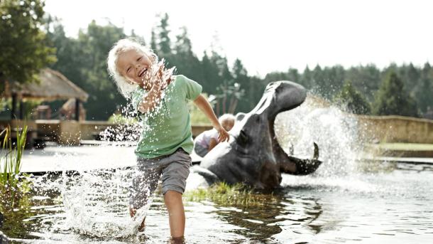 Barn leker i vann ved Knuthenborg Safaripark, Danmark