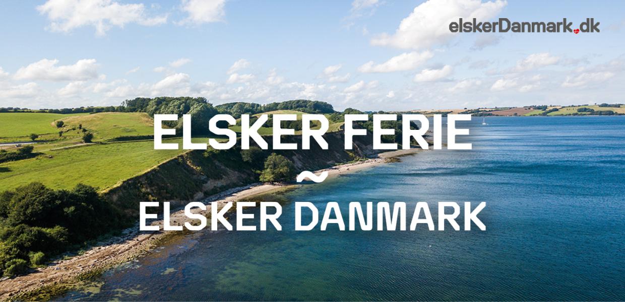 Elsker Danmark - kampagne - temaartikel