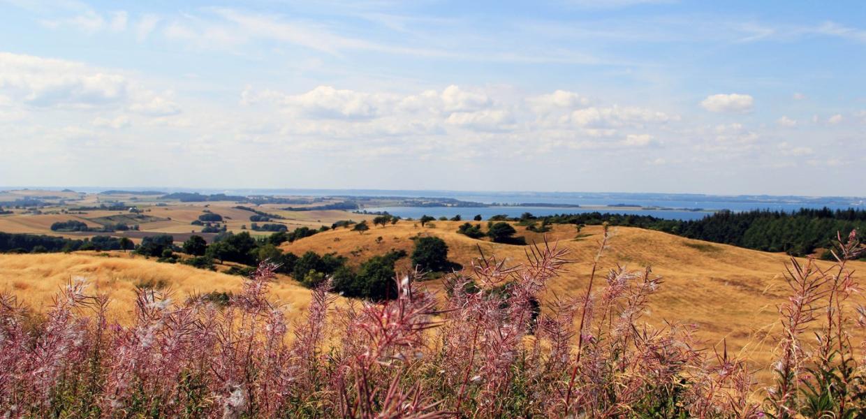 Mols Bjerge Djursland