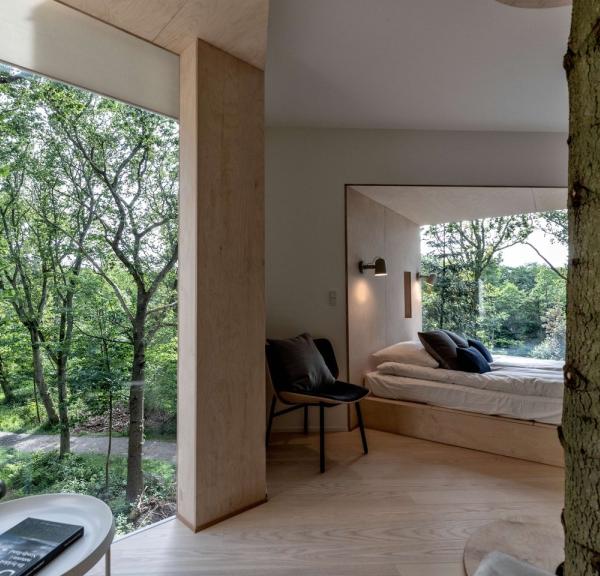 Utsikten fra innsiden av Løvtag Tretopphotell