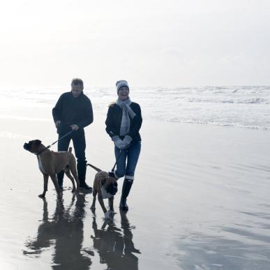 Par går tur med hunden på stranden om efteråret
