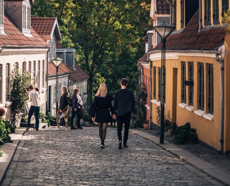 Hyggelig gade i Odense