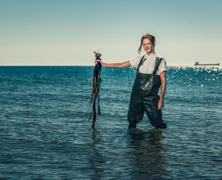 Chef Mathilde from restaurant Blink foraging seaweed by the beach in Skagen, North Jutland
