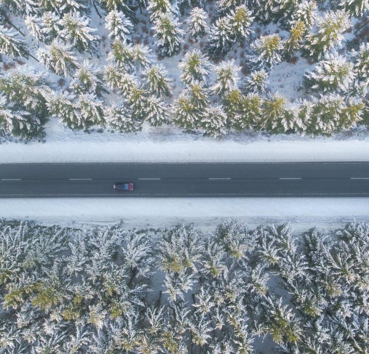 En tilsneet vej gennem skoven ved Fjerritslev.