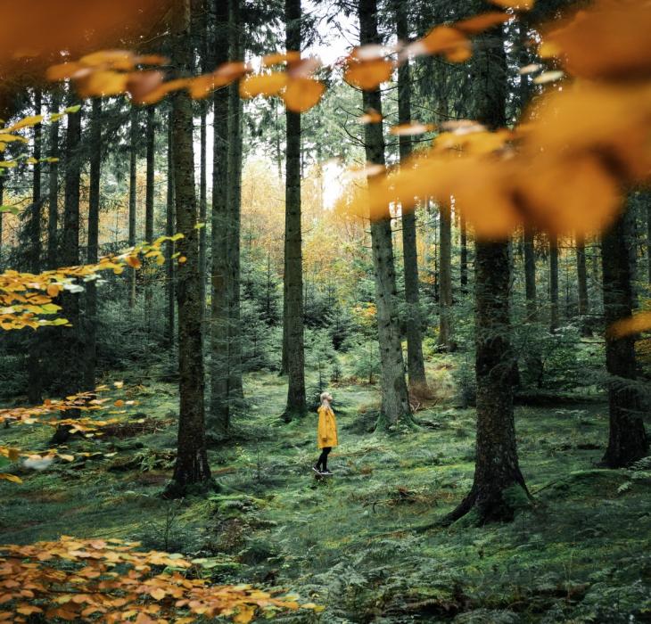 Woman in Rold Forest in autumn, Himmerland, North Jutland